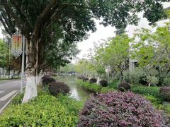 -广州市第二中学高中部(科学城校区)