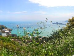 -枸杞岛