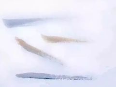 -八哥美术·成人美术画室(总校区)