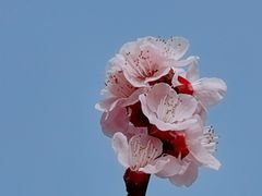 -北京凤凰岭