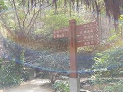 -滴水岩森林公园