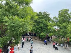 -大槐树寻根祭祖园