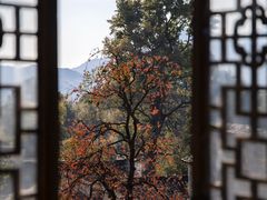 -塔川景区