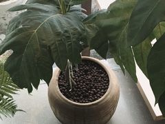 -喜茶(珠海华发商都店)
