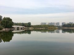 -大兴滨河森林公园