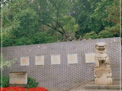 -菊花台公园