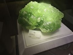 -湖南省地质博物馆