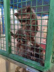 -萌宠亲子动物乐园(槐房万达店)