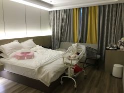 -爱帝宫月子中心(罗湖别墅院)