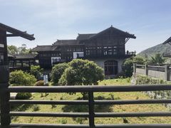-大唐贡茶院