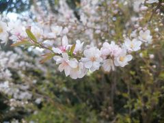 -陕西省西安植物园