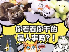 -大玩家(通州万达广场店)