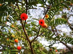 -南通洲际绿博园