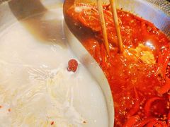 -宽巷子成都火锅(南站店)