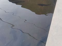 -青龙潭鱼庄
