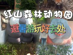 -红山森林动物园