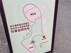-都江堰中华大熊猫苑