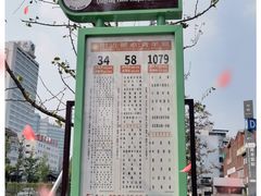 -青羊宫