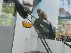 -西安秦岭野生动物园