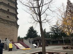 -法门文化景区