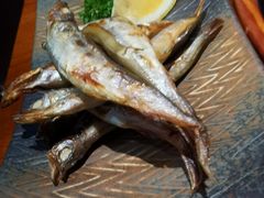 -千代武日本料理(爱建店)