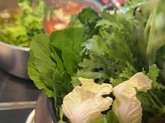 -额尔敦传统涮(公园西路店)