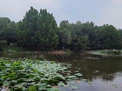 -云岗森林公园