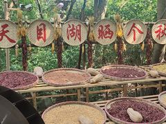 -天目湖山水园