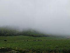 -关山草原