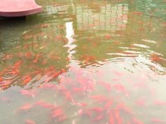 -西安曲江寒窑遗址公园