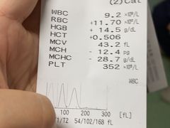 -伟伟宠物医院·CT影像中心·瑞派犬猫综合性门诊(汉口总院)