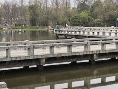 -洋湖国家湿地公园