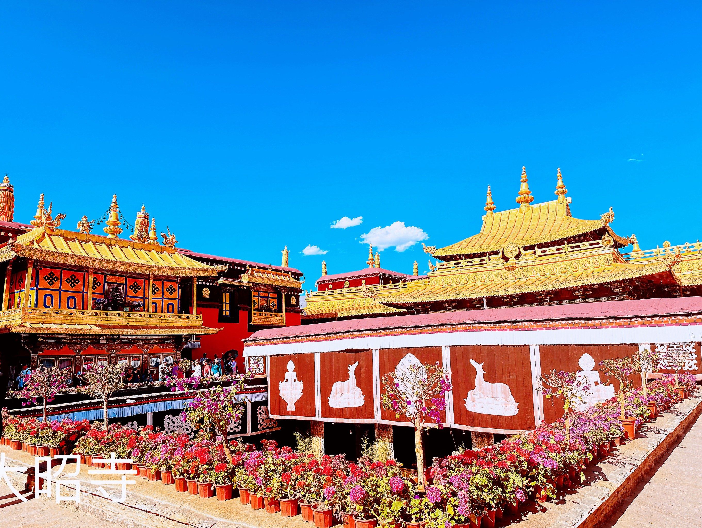 大昭寺心灵的宗教圣所 ✨