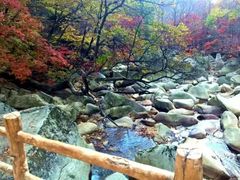 -黄椅山火山森林公园