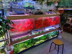 -溪岸路花鸟市场