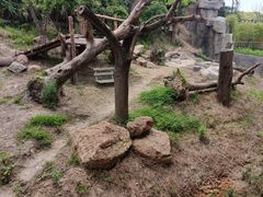 -宁波野生动物园