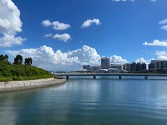 -五缘湾湿地公园