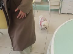 -怪兽屋·羊驼·猫咖·狗咖(俊华广场店)