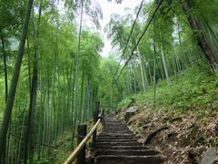 景点-藏龙百瀑风景区