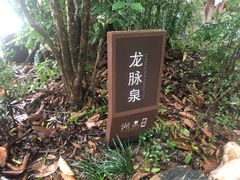 -湖泉半山温泉