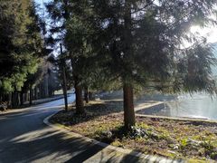 -武陵山森林公园