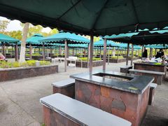 -春花秋色城市公园