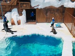 -秦皇岛乐岛海洋王国