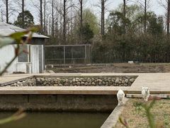 -前小桔亲子创意农场·草莓采摘·露营烧烤