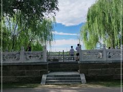 -马家湾湿地公园