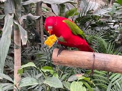 -南宫五洲植物乐园