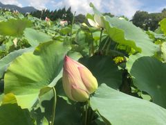 -古田会议纪念馆