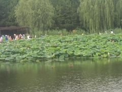 -前关湿地公园