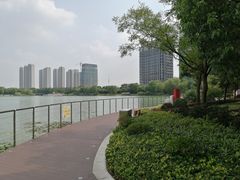 -南翔镇银翔湖公园