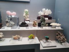 -湖南省地质博物馆